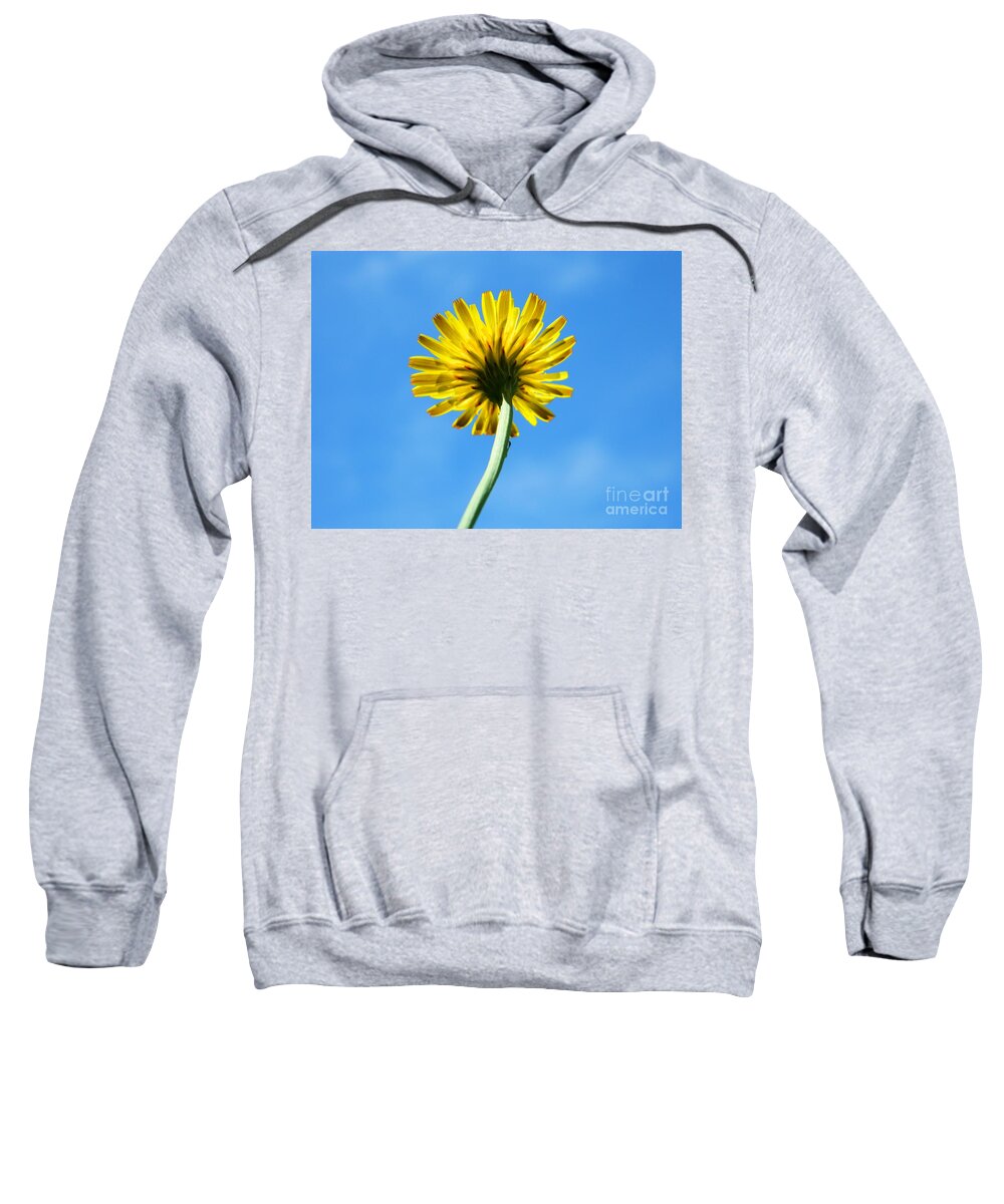 Yellow Sweatshirt featuring the photograph Look up to the sky by Andrea Anderegg