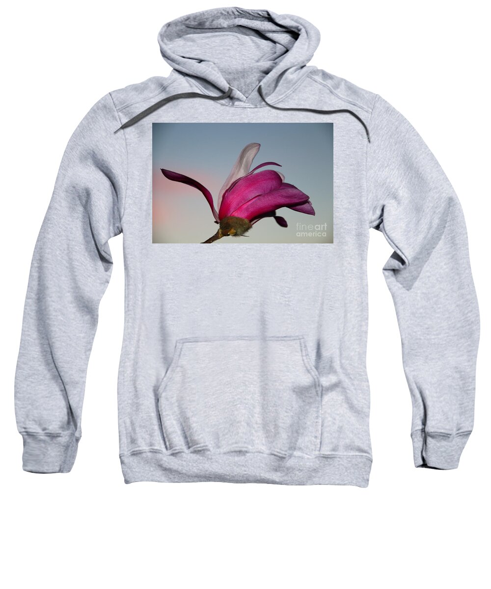 Beautiful Sweatshirt featuring the photograph Magnolia Blossom in the Sunset by Amanda Mohler