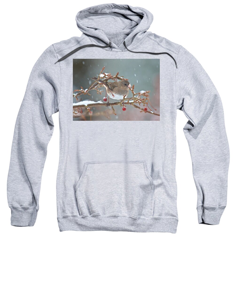Bird Sweatshirt featuring the photograph Maybe a Cherry or Maybe Not by Kristin Hatt