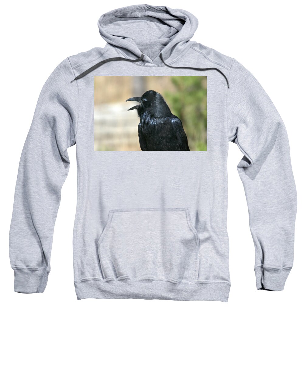 Raven Sweatshirt featuring the photograph Meet my friend  Where did he go by Frank Madia