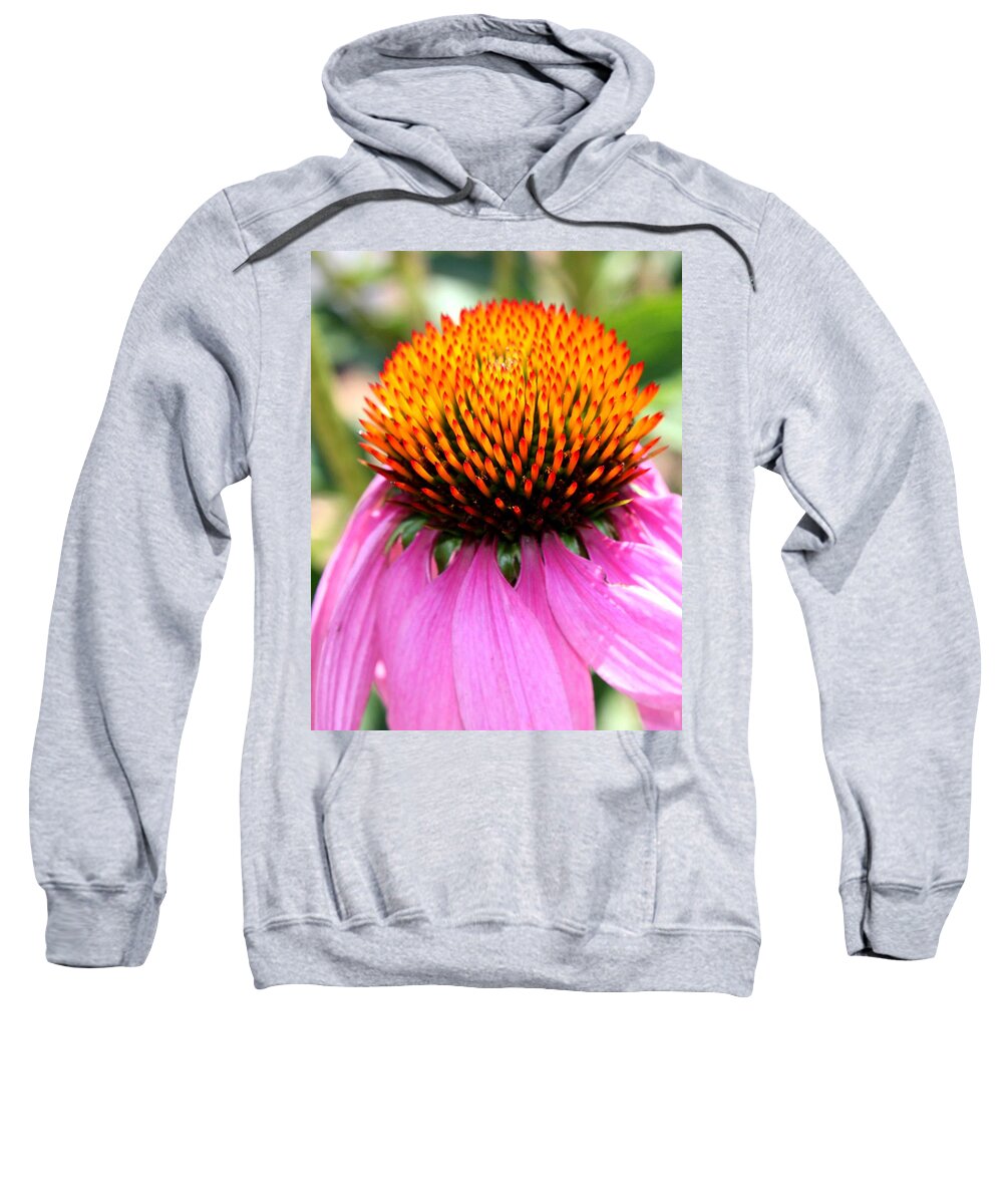 Landscape Sweatshirt featuring the photograph Mountain Flower Close Up by Morgan Carter
