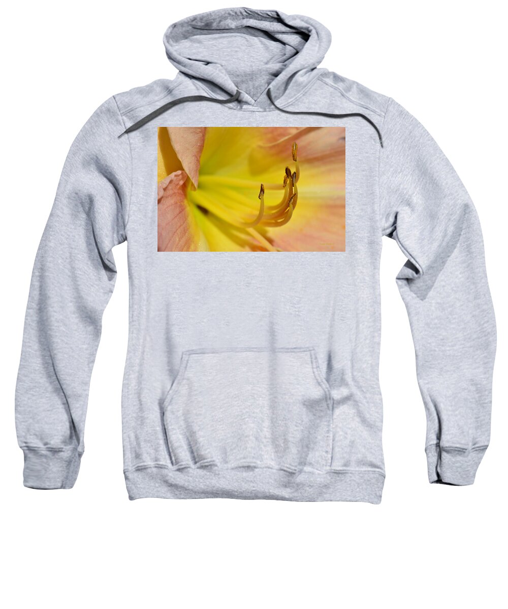 Lily Sweatshirt featuring the photograph My Name Is Lily by Donna Blackhall