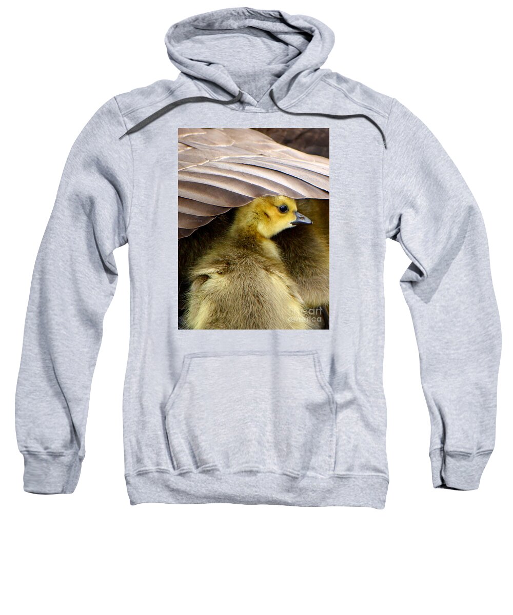 Canadian Goose Sweatshirt featuring the photograph My Umbrella by Heather King