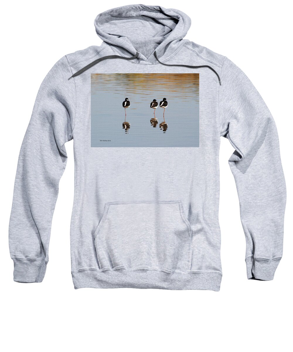 Nap Time Sweatshirt featuring the photograph Nap Time by Tom Janca