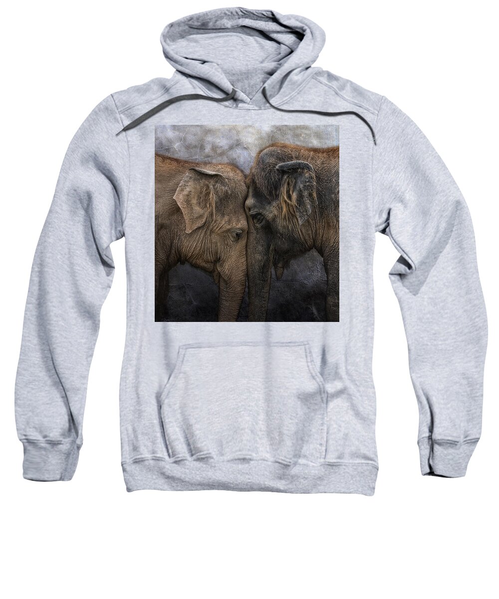 Animal Sweatshirt featuring the photograph Nighty Night Darling by Joachim G Pinkawa