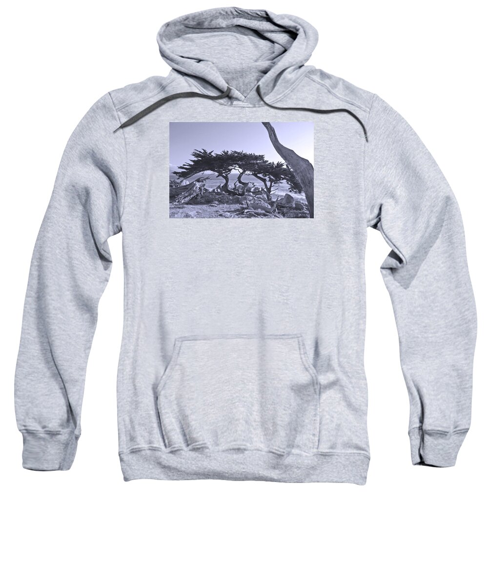 Ocean Sweatshirt featuring the photograph Ocean Wood by Andre Aleksis