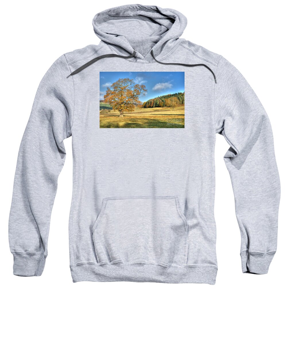 Landscape Sweatshirt featuring the photograph October Gold by David Birchall