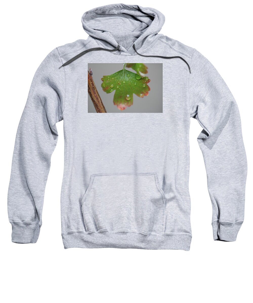 Leaf Sweatshirt featuring the photograph Rain drops on Leaf by Valerie Collins