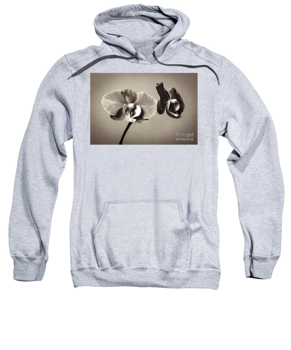 Orchid Sweatshirt featuring the photograph Orchid Duality by Hitendra SINKAR