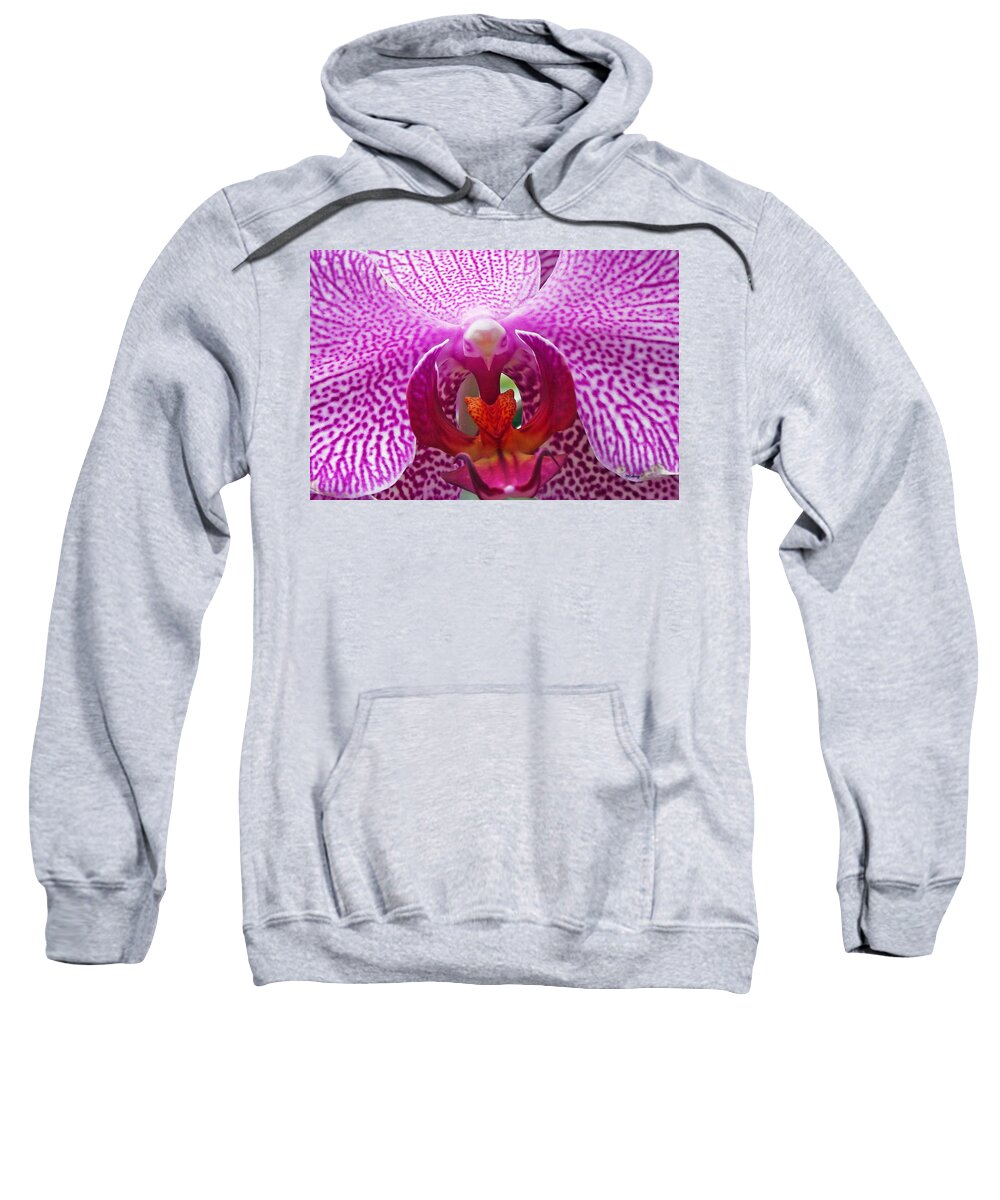 Plants Sweatshirt featuring the photograph Orchid Upclose by Duane McCullough