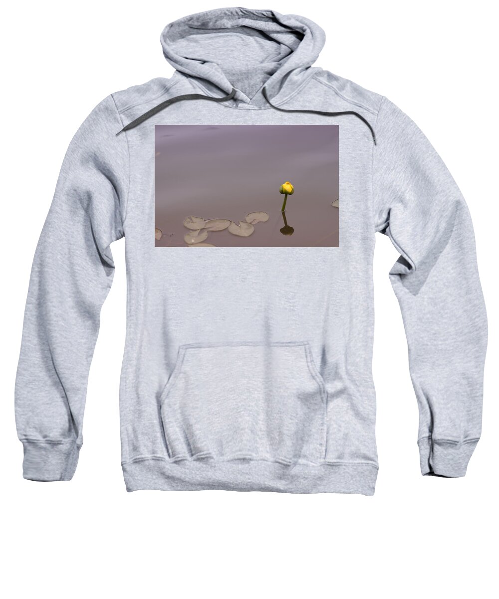 Osaka Sweatshirt featuring the photograph Osaka Garden Tranquility by Miguel Winterpacht