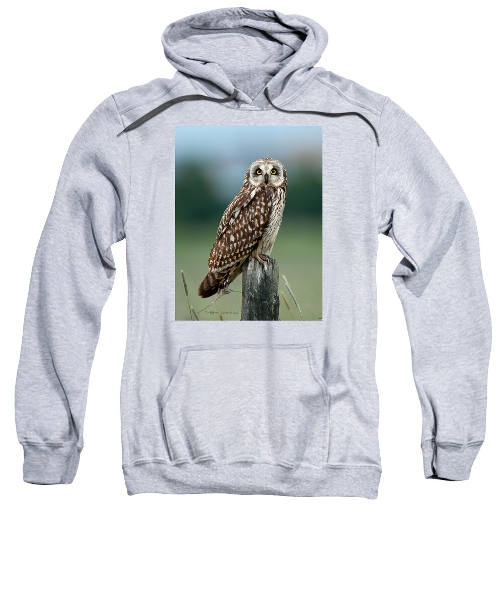 Short Eared Owl Sweatshirt featuring the photograph Owl see you by Torbjorn Swenelius