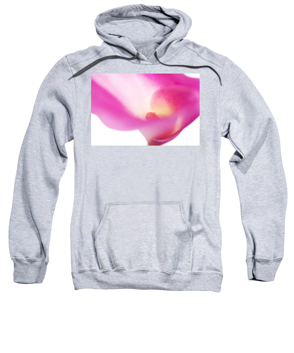 Flowers Sweatshirt featuring the photograph Passion for Flowers. Pink Veil by Jenny Rainbow