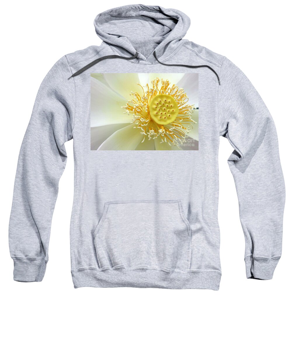 Flower Sweatshirt featuring the photograph Pastel Lotus by Sabrina L Ryan