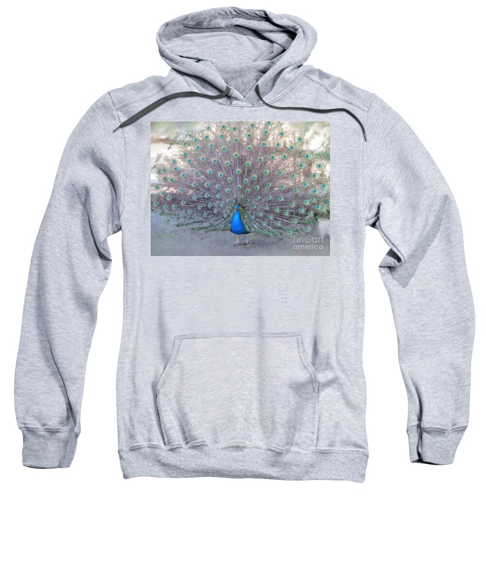 Peacock Sweatshirt featuring the photograph Peacock3 by Laurianna Taylor