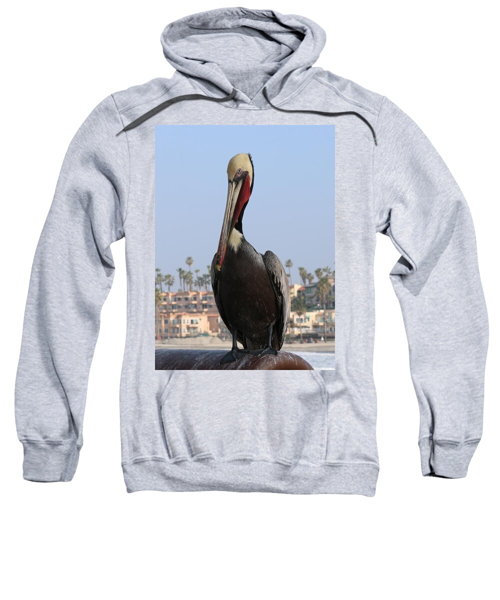 Wild Sweatshirt featuring the photograph Pelican - 2 by Christy Pooschke