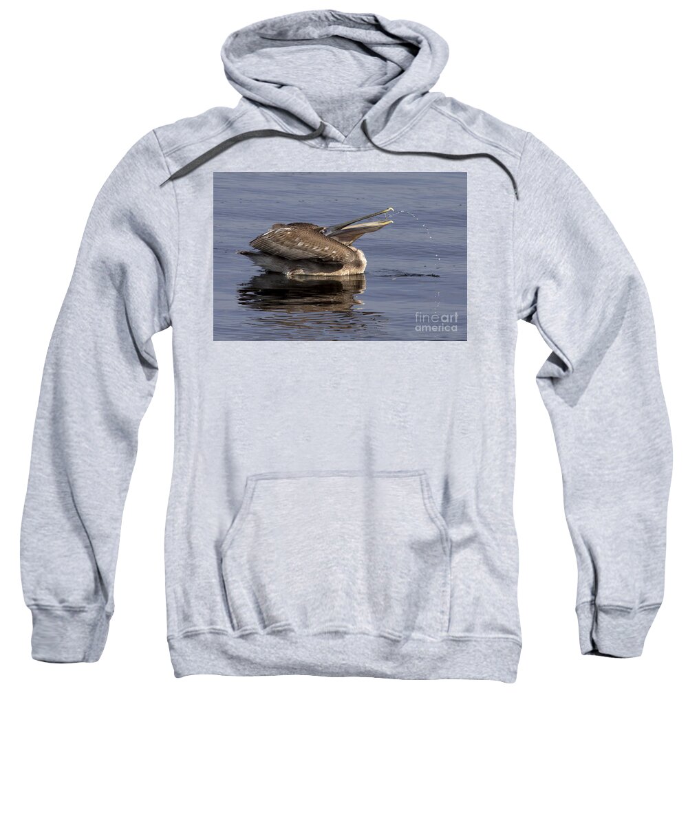 Brown Pelican Sweatshirt featuring the photograph Pelican Fountain by Meg Rousher