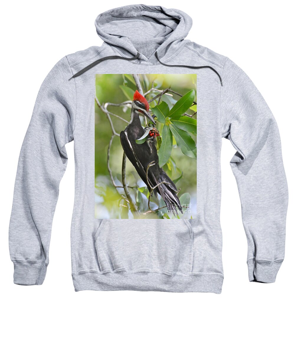 Woodpecker Sweatshirt featuring the photograph Pileated Woodpecker by Kathy Baccari