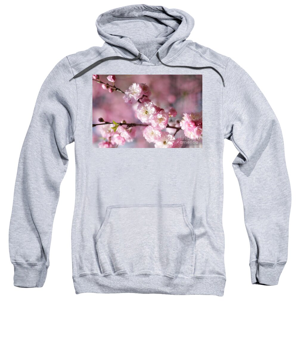 Landscape Sweatshirt featuring the photograph Pink Plum Branch 1 by Donna L Munro