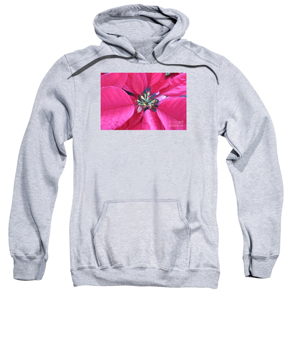 Poinsettia Sweatshirt featuring the photograph Poinsettia Burst by Mary Deal