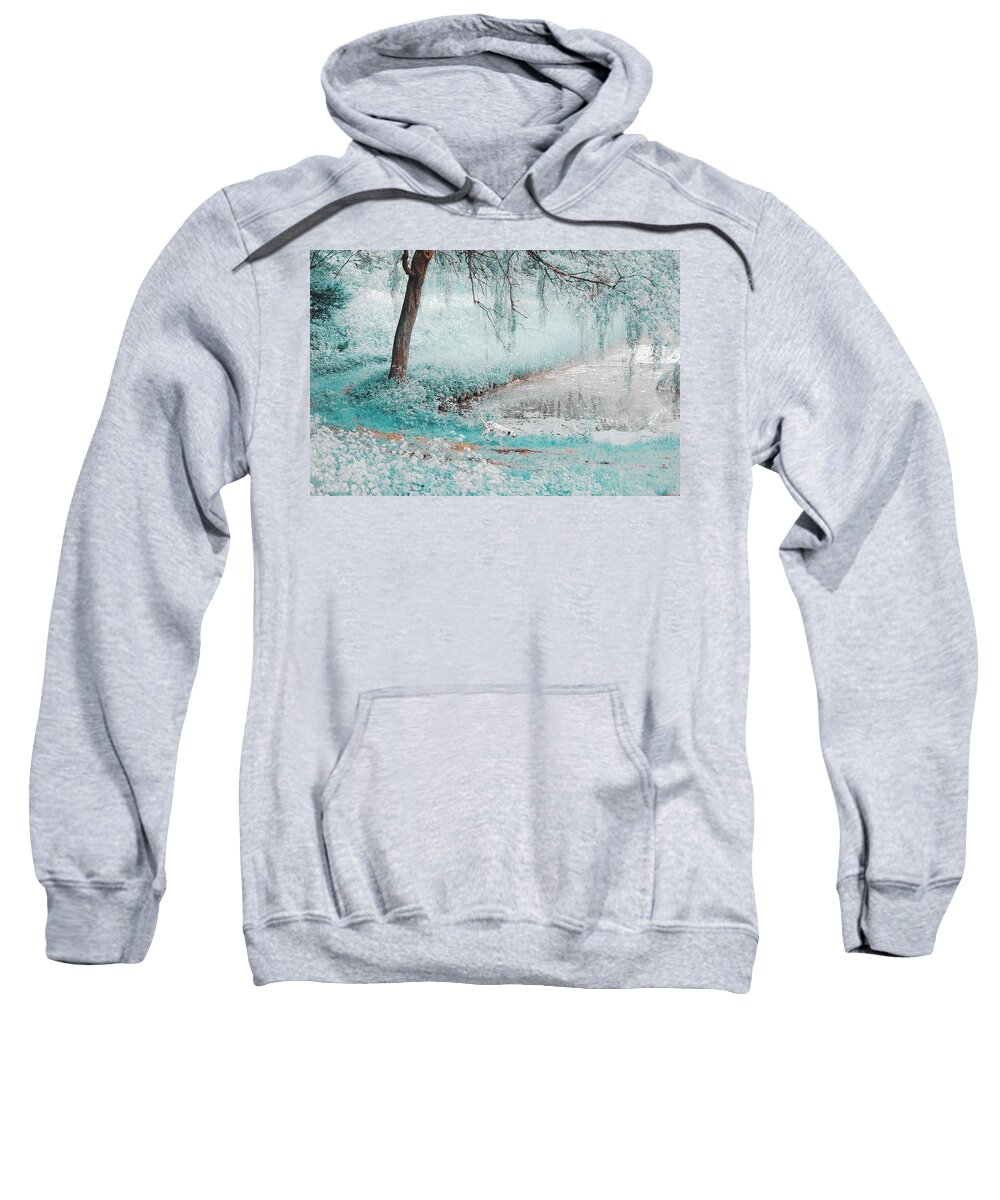 Nature Sweatshirt featuring the photograph Pond Under the Shadow Willow. Nature in Alien Skin by Jenny Rainbow