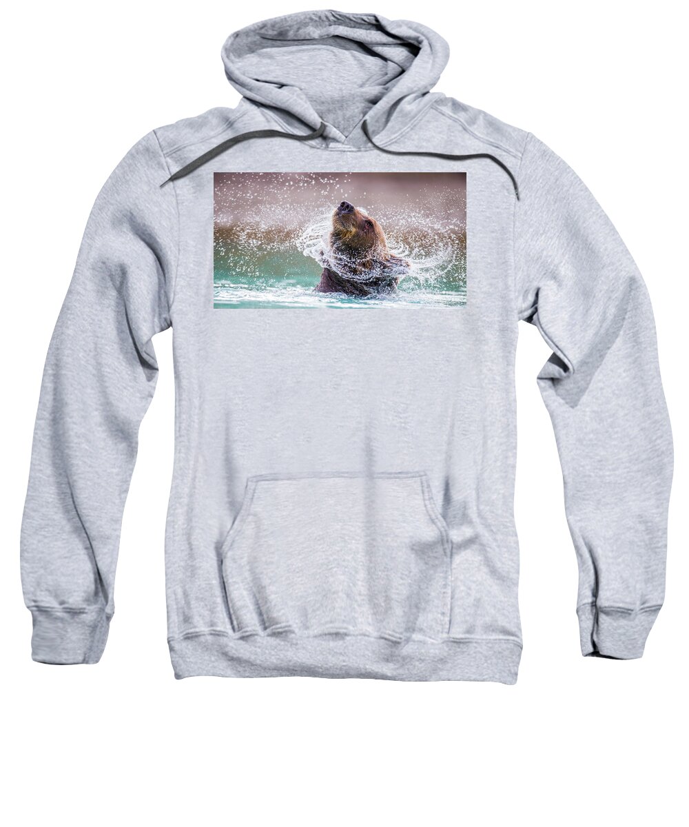 Bear Sweatshirt featuring the photograph Power Shake by Kevin Dietrich