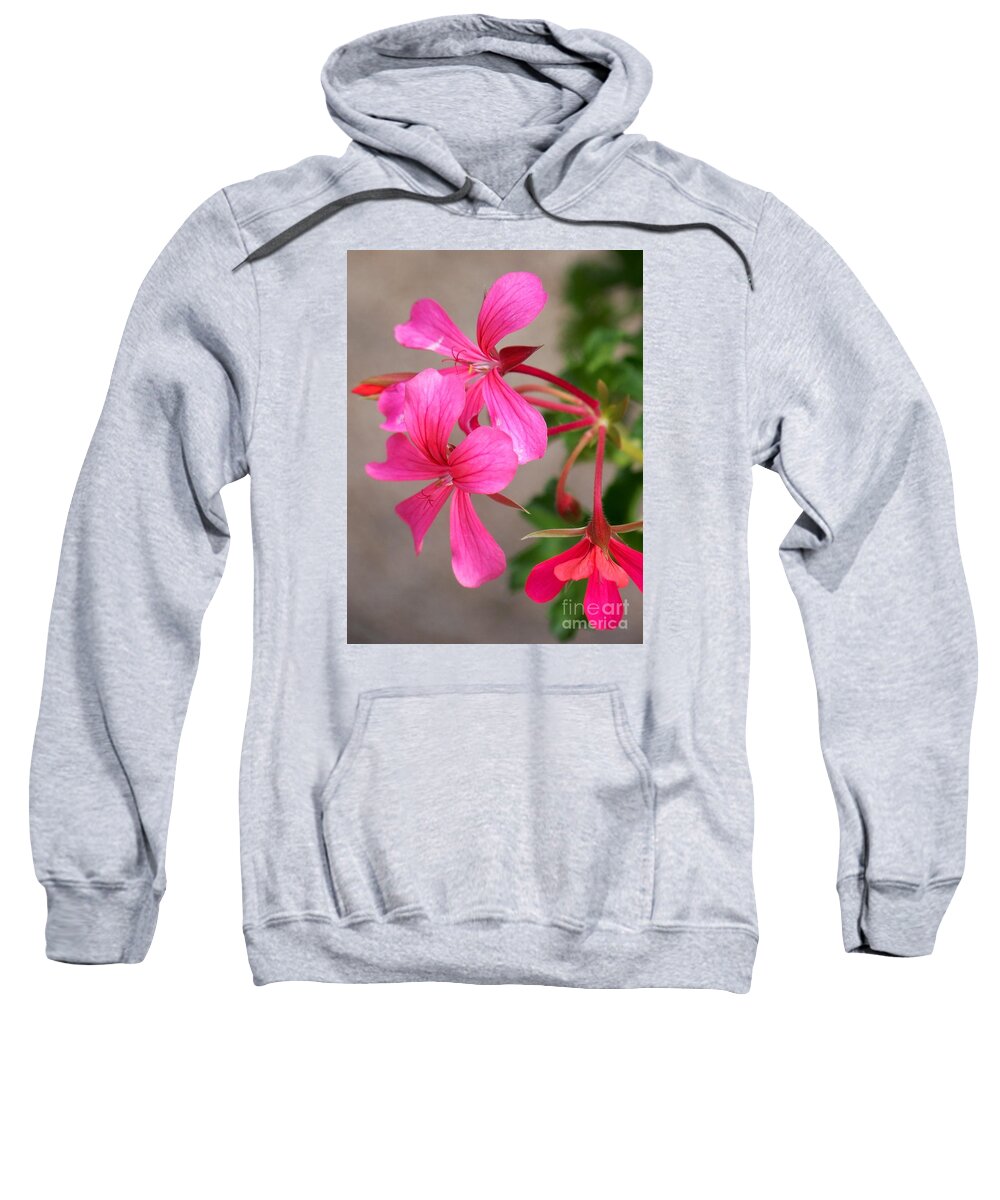 Pink Sweatshirt featuring the photograph Pretty In Pink by Eunice Miller