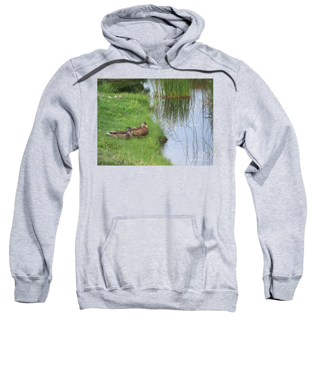 Mallards Sweatshirt featuring the photograph Mated Pair of Ducks by Eunice Miller