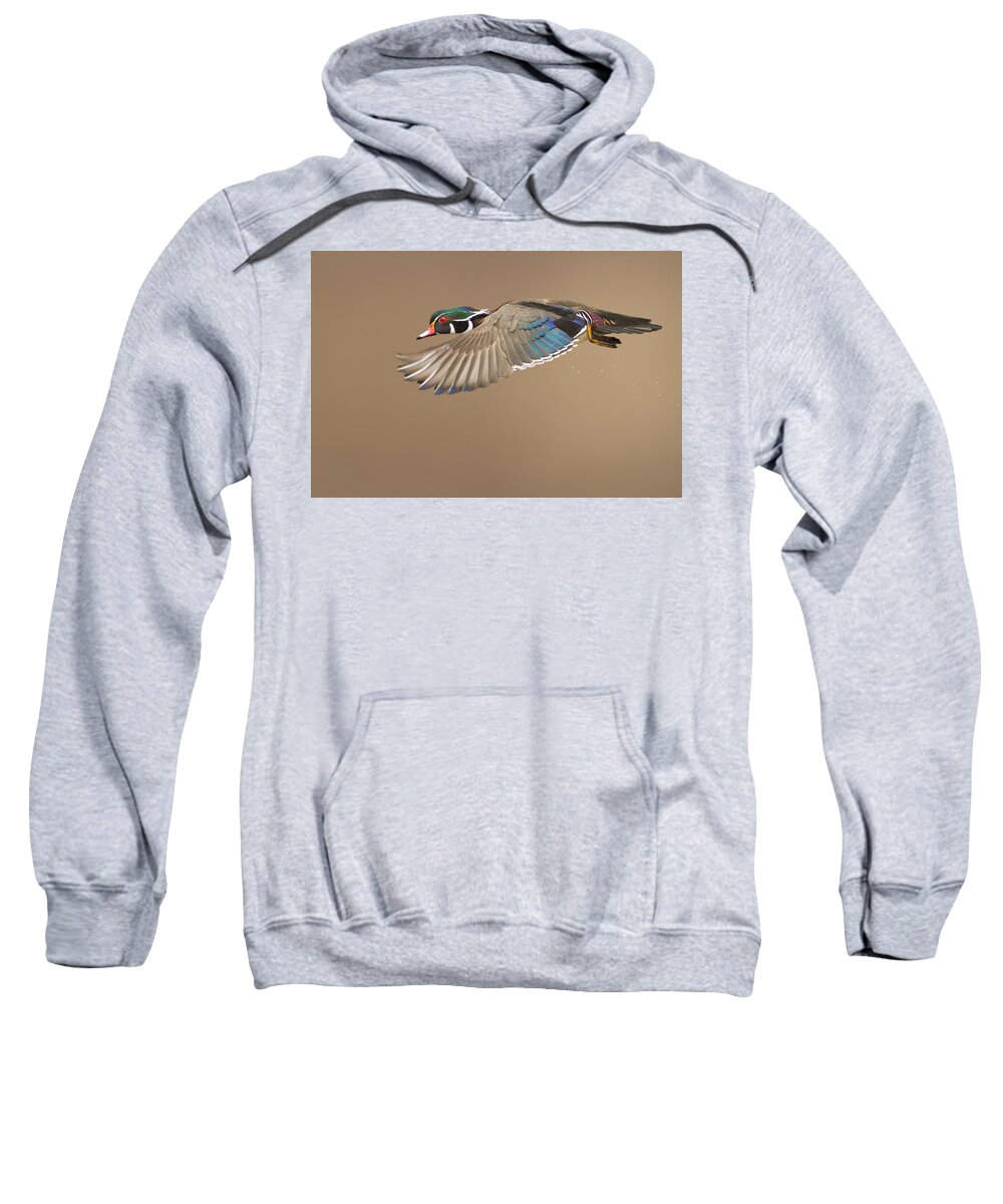 Probably Sweatshirt featuring the photograph Probably the most beautiful of all duck species by Mircea Costina Photography