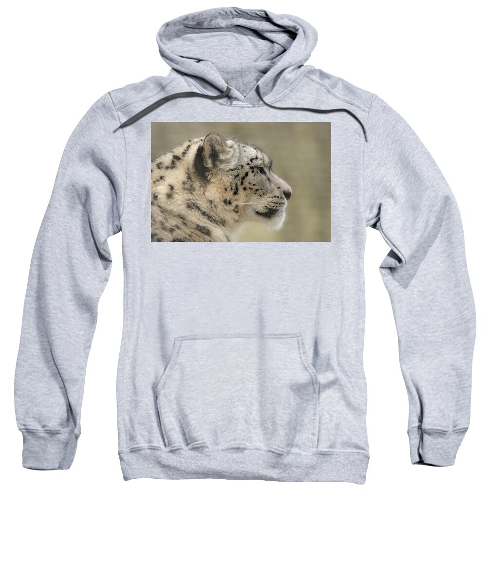 Snow Leopard Sweatshirt featuring the photograph Profile of a snow leopard by Chris Boulton