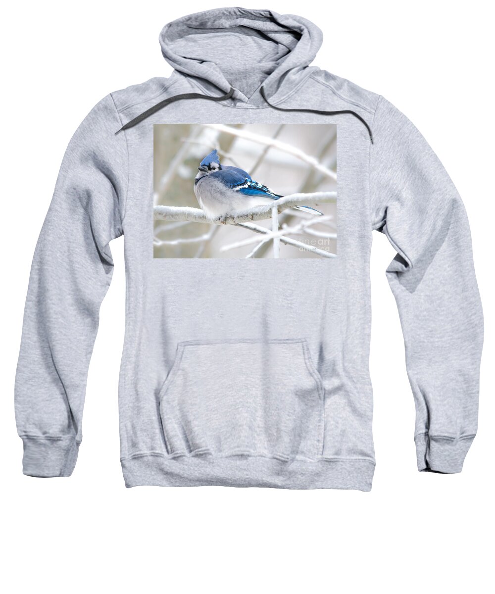 Bokeh Sweatshirt featuring the photograph Puffy Blue by Cheryl Baxter