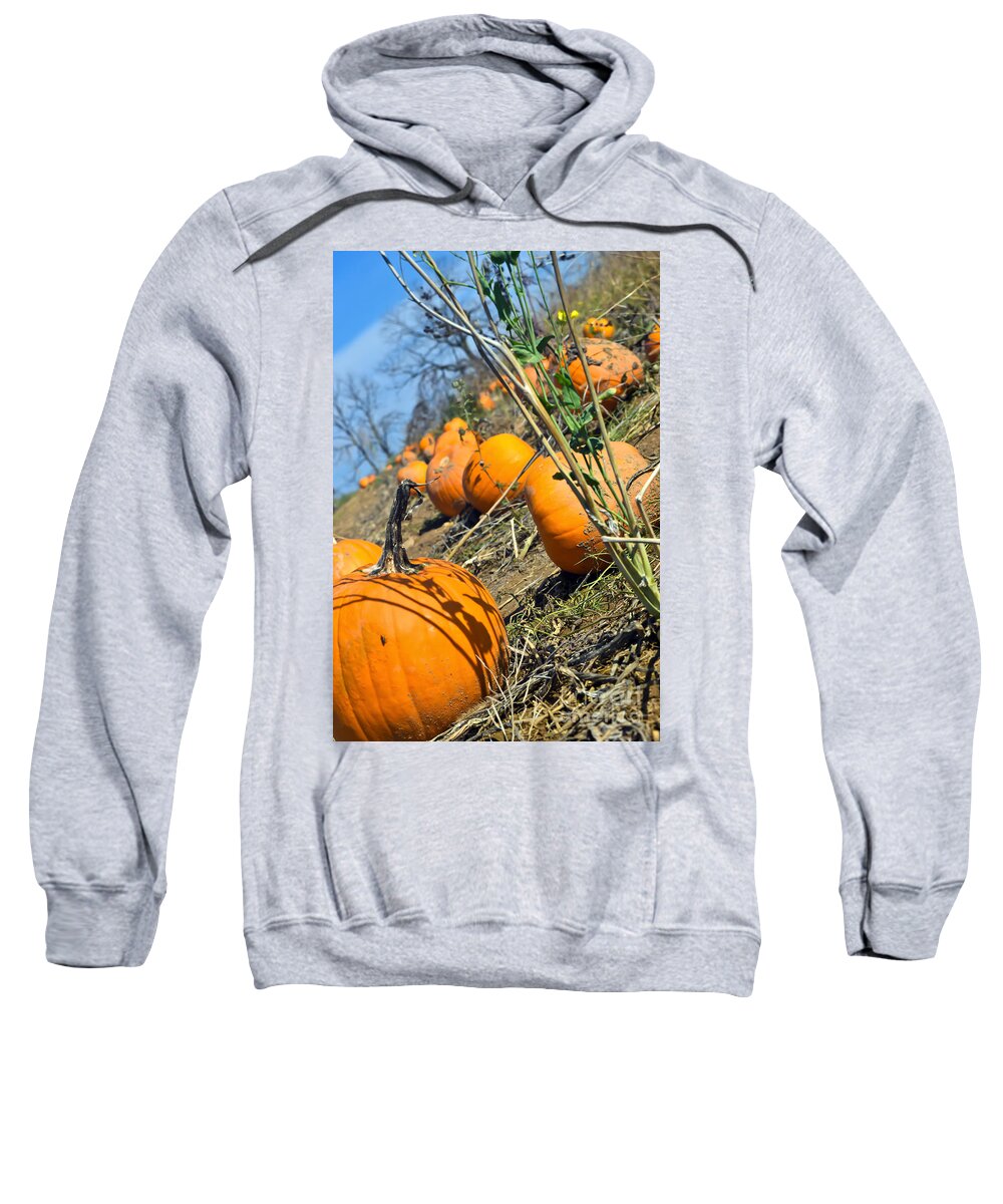 Field Sweatshirt featuring the photograph Pumpkin diziness by PatriZio M Busnel