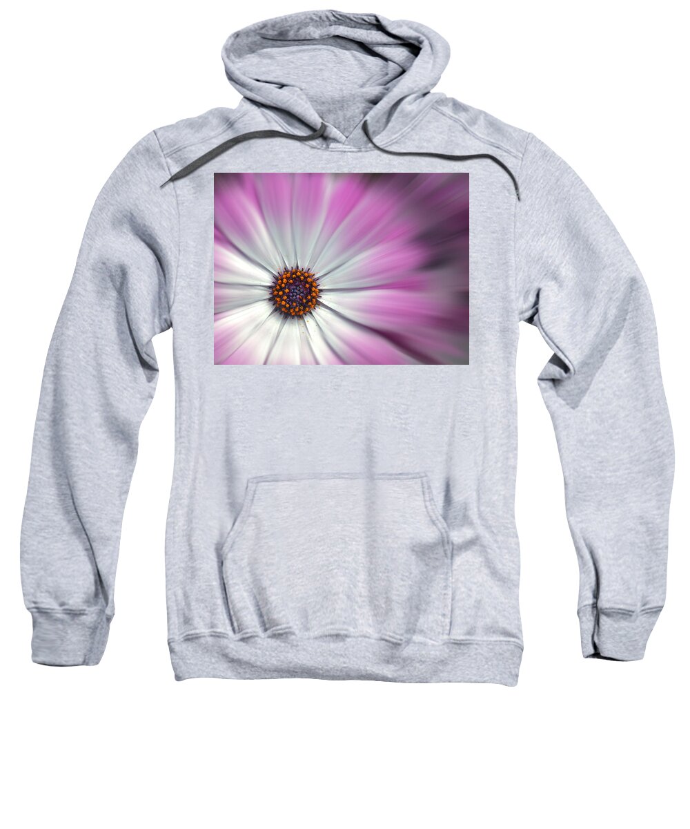 Flowers Sweatshirt featuring the digital art Purple Daisy by Nina Bradica