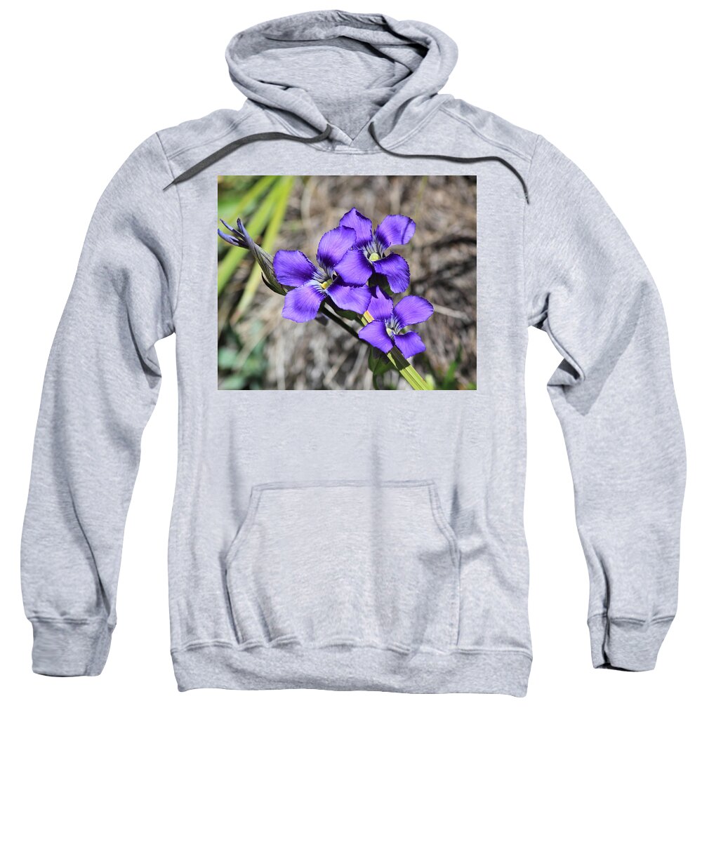 Wildflower Sweatshirt featuring the photograph Purple Wildflower by Shane Bechler