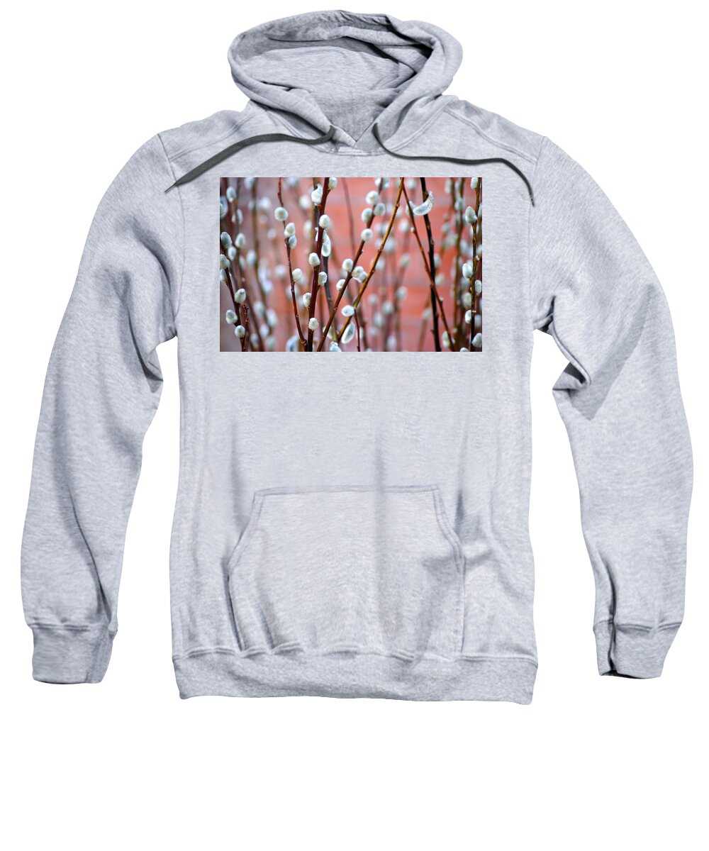 Spring Sweatshirt featuring the photograph Pussy Willows by Ira Shander