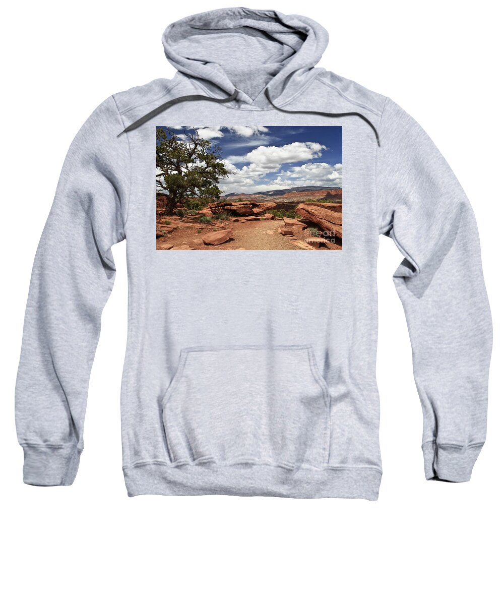 Desert Sweatshirt featuring the photograph Red White and Blue by Kathy McClure