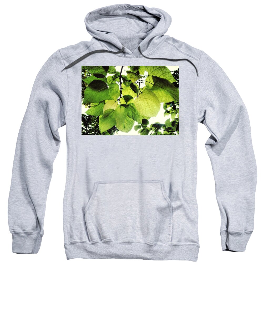 Leaf Sweatshirt featuring the photograph Catalpa Branch by Angela Rath