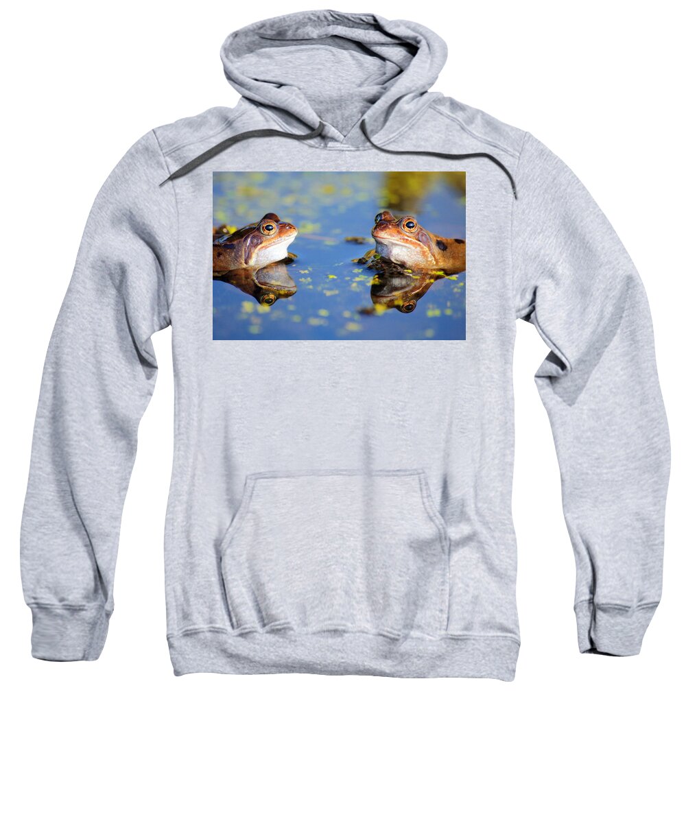 Frog Sweatshirt featuring the photograph Reflections by Chris Smith
