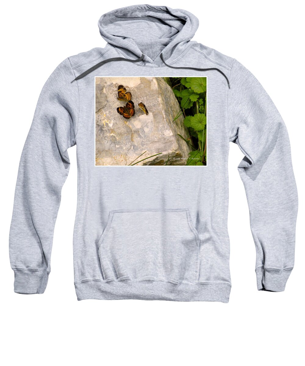 Butterfly Sweatshirt featuring the photograph Rock Trio by Kendall Kessler