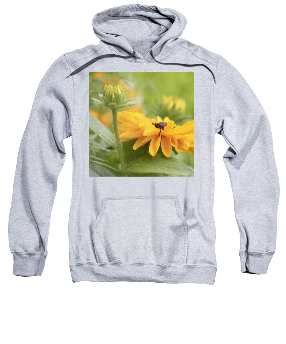 Yellow Flower Sweatshirt featuring the photograph Rudbeckia Flower by Kim Hojnacki