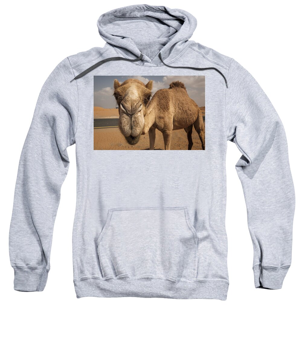 Camel Sweatshirt featuring the photograph Say Cheese by Robert Work