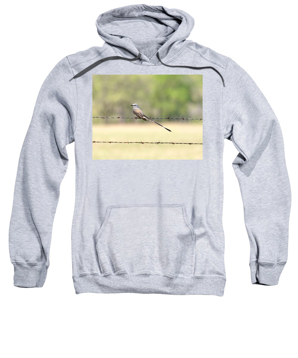 Flycatcher Sweatshirt featuring the photograph Scissor-tailed Flycatcher by Frank Madia