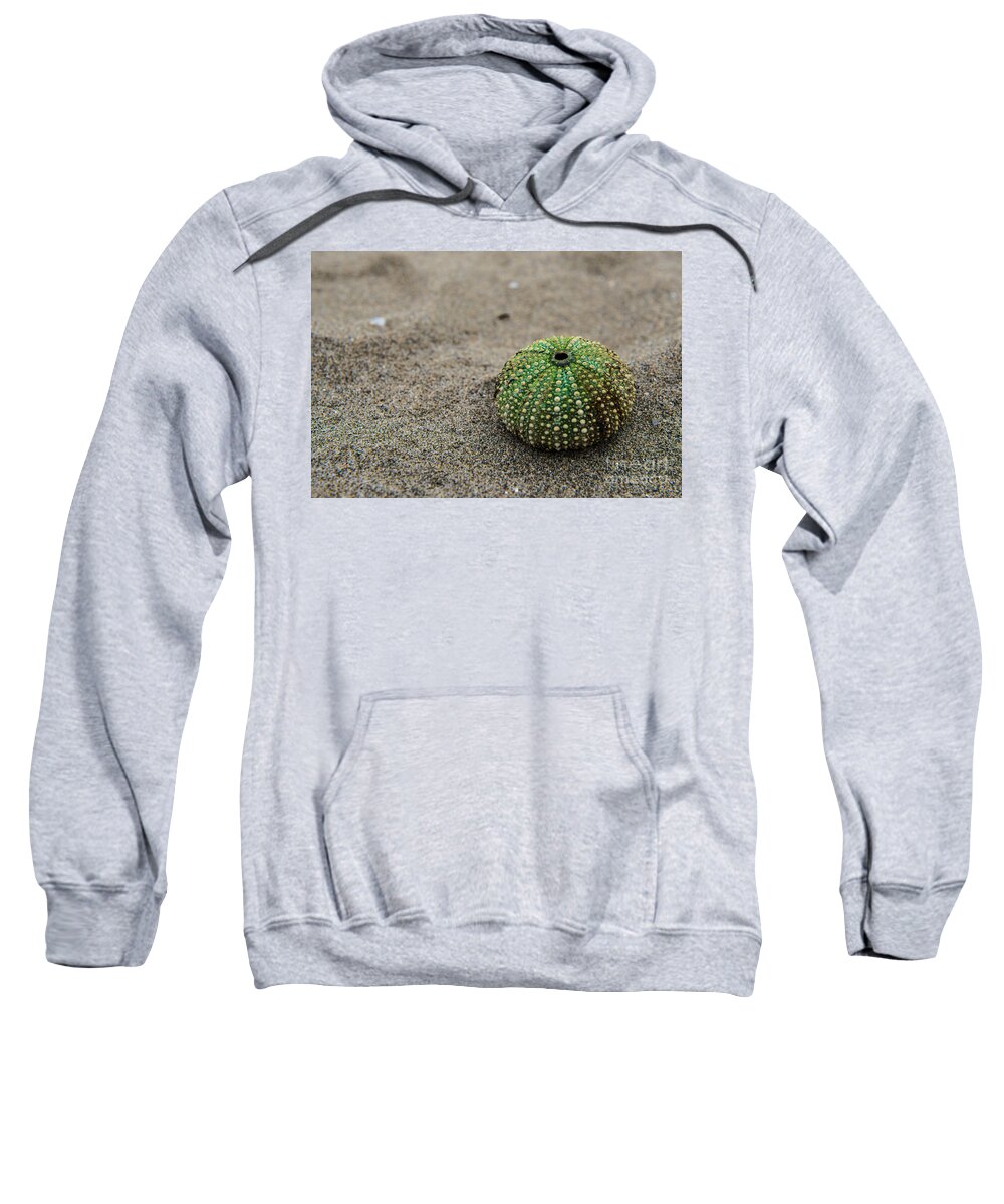 Friaul-julisch Venetien Sweatshirt featuring the photograph Sea Urchin by Hannes Cmarits