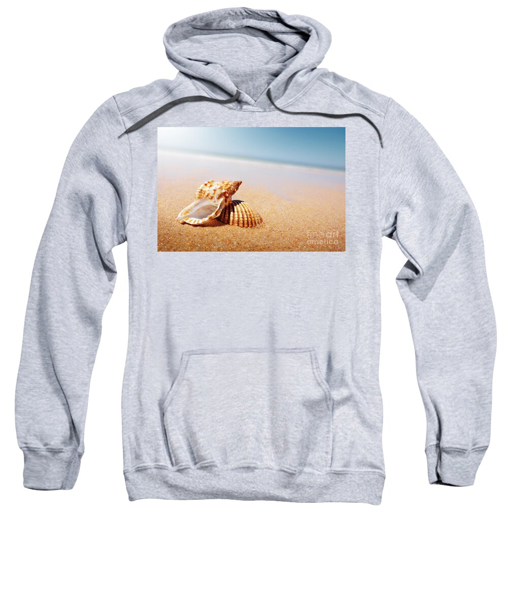 Abstract Sweatshirt featuring the photograph Seashell and Conch by Carlos Caetano