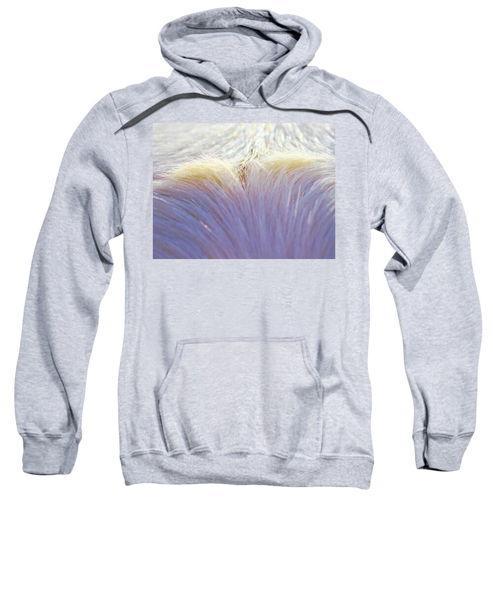 Opposition Sweatshirt featuring the photograph Sheaf by Michelle Twohig