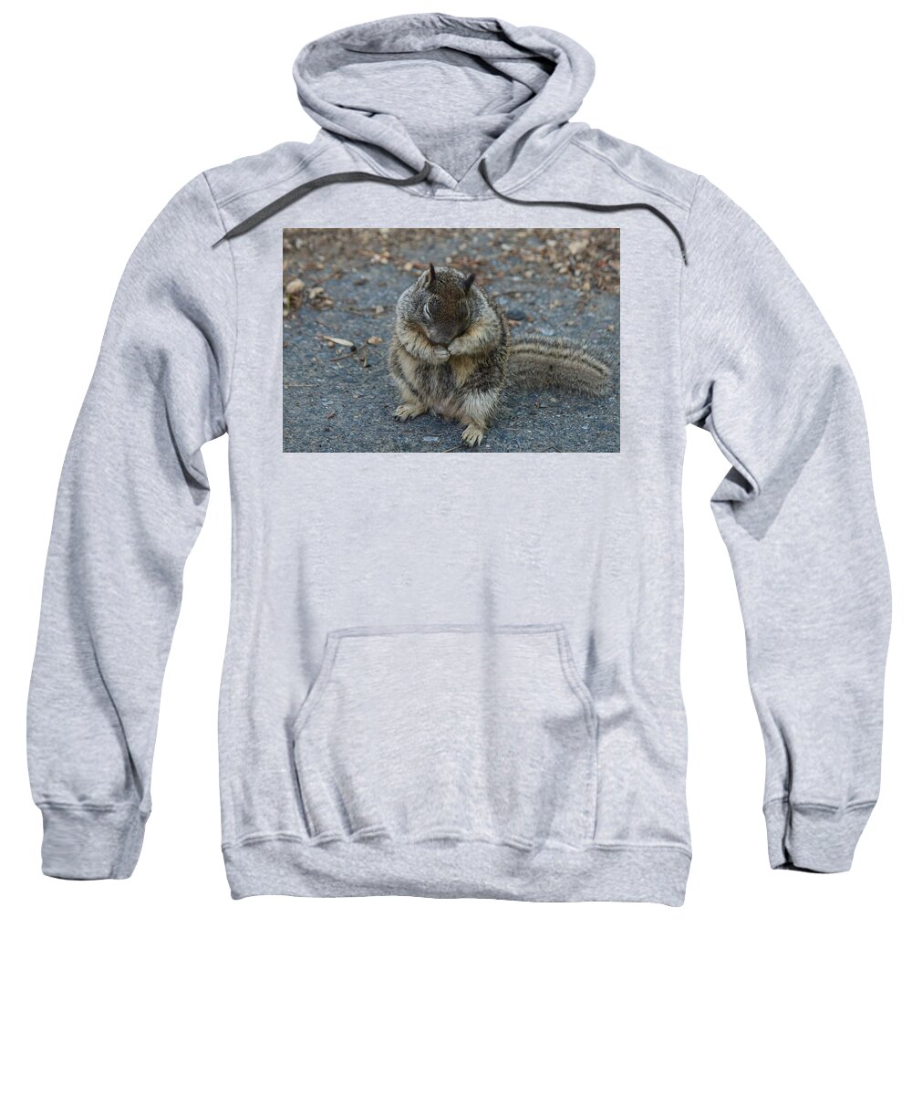 Ground Sweatshirt featuring the photograph Shy Guy by Christy Pooschke