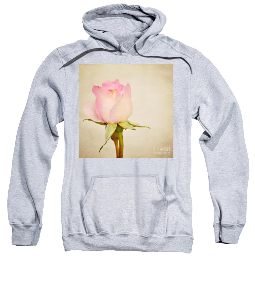 Rose Sweatshirt featuring the photograph Single baby pink rose by Lyn Randle