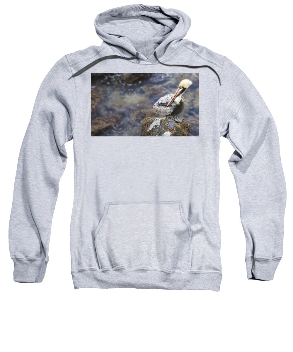 Florida Sweatshirt featuring the photograph Sitting on a Rock in the Bay by Shelley Neff