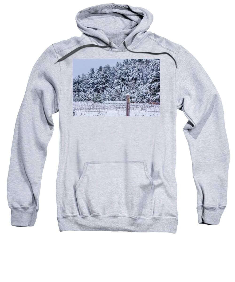Snow Covered Pine Trees Sweatshirt featuring the photograph Snow Day by Rick Bartrand