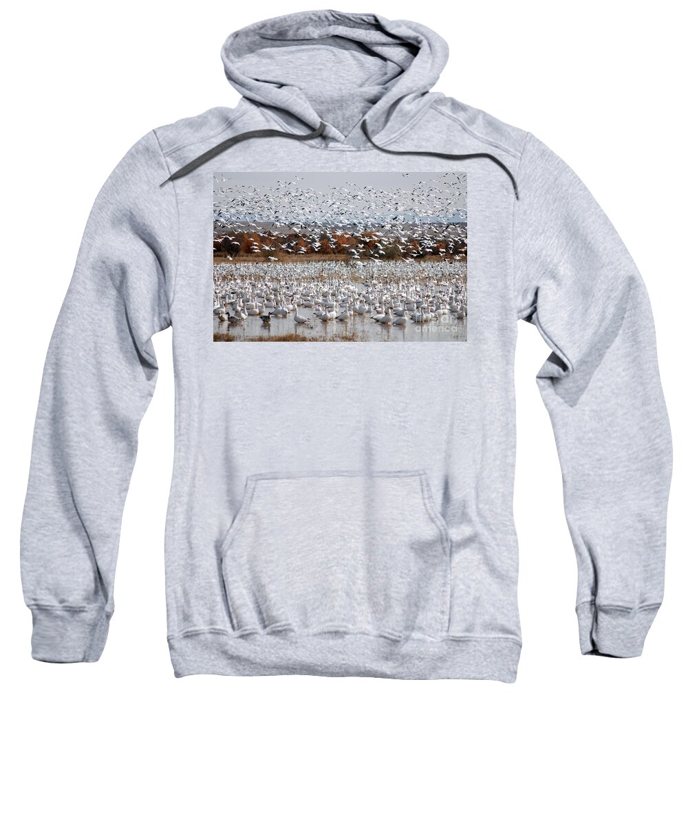 Snow Geese Sweatshirt featuring the photograph Snow Geese No.4 by John Greco